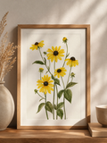 Black-Eyed Susan Watercolor Art Print