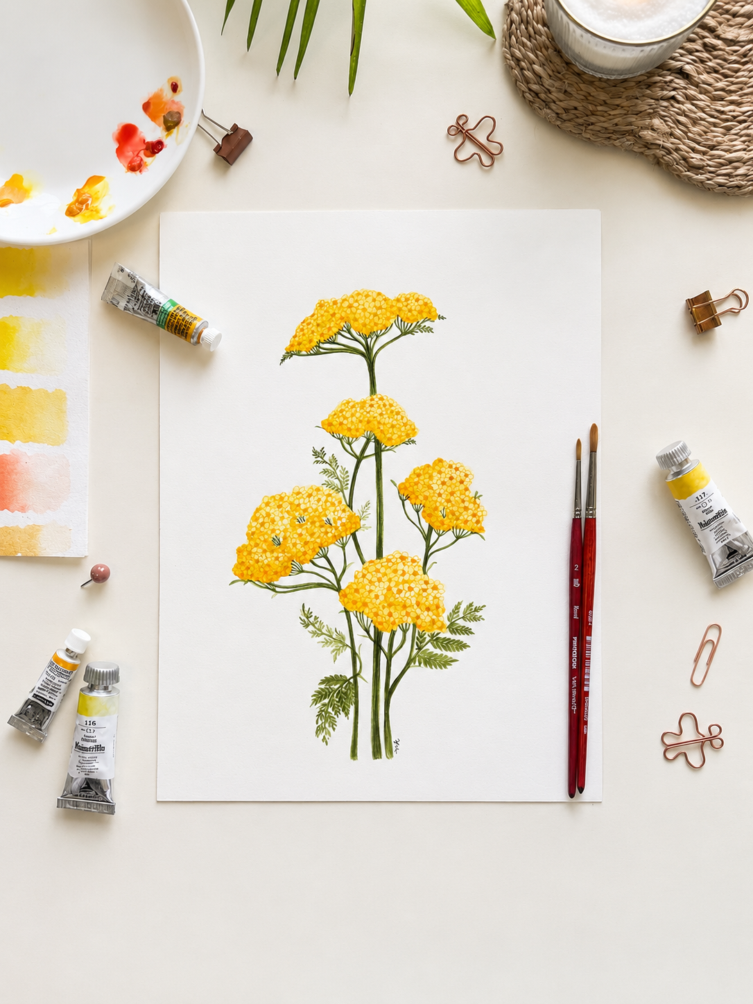 Yellow Yarrow Watercolor Art Print