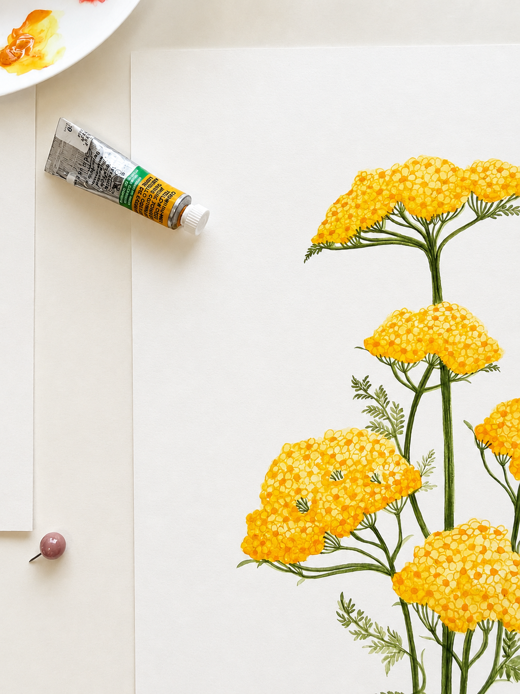 Yellow Yarrow Watercolor Art Print