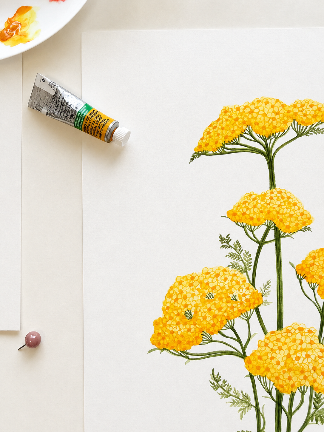 Yellow Yarrow Watercolor Art Print