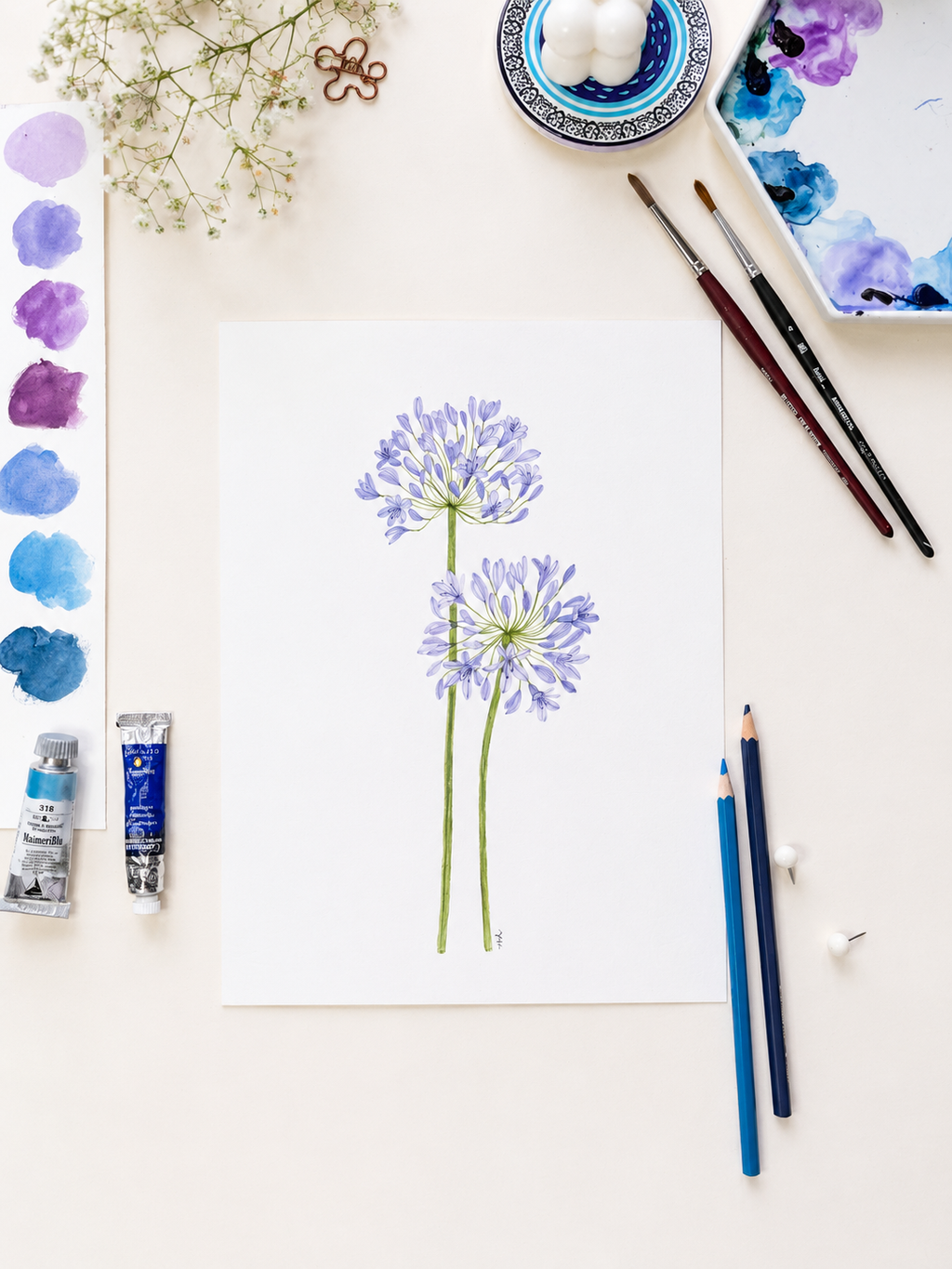 Agapentas Watercolor Art Prints