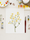 Buttercup Watercolor Art Print