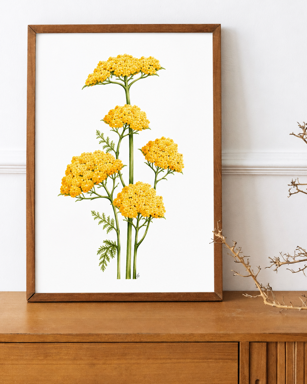 Yellow Yarrow Watercolor Art Print