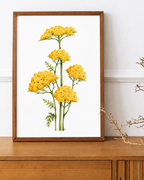 Yellow Yarrow Watercolor Art Print