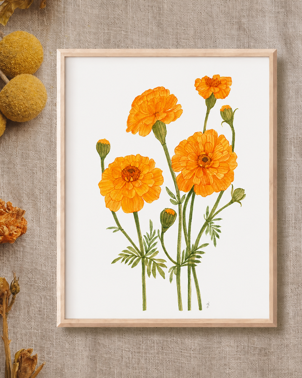 Marigold Watercolor Artwork