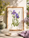 Iris Watercolor Art Print
