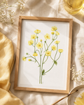 Buttercup Watercolor Art Print
