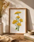 Yellow Yarrow Watercolor Art Print