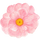 Rating icon