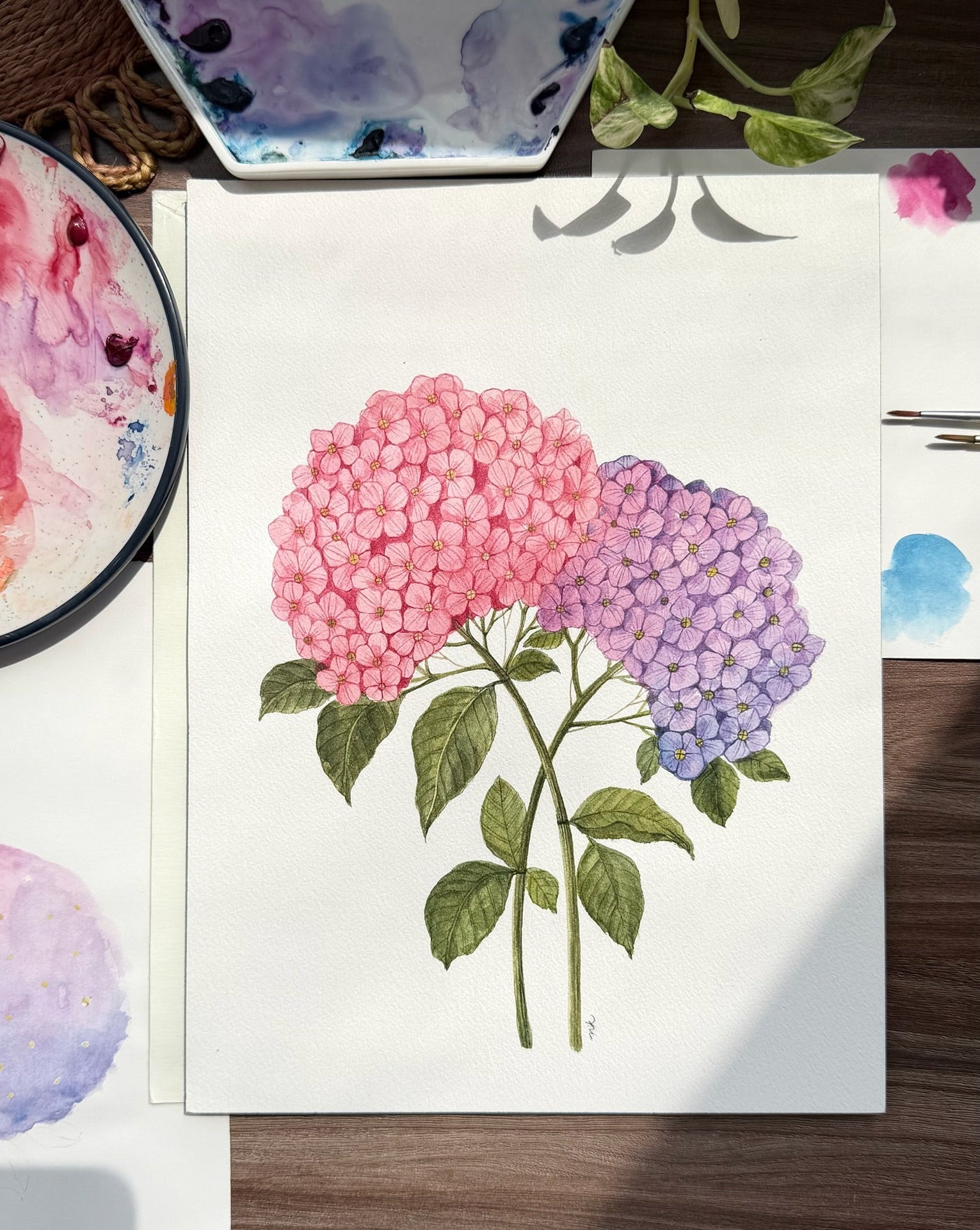 Hydrangea Watercolor Art Print