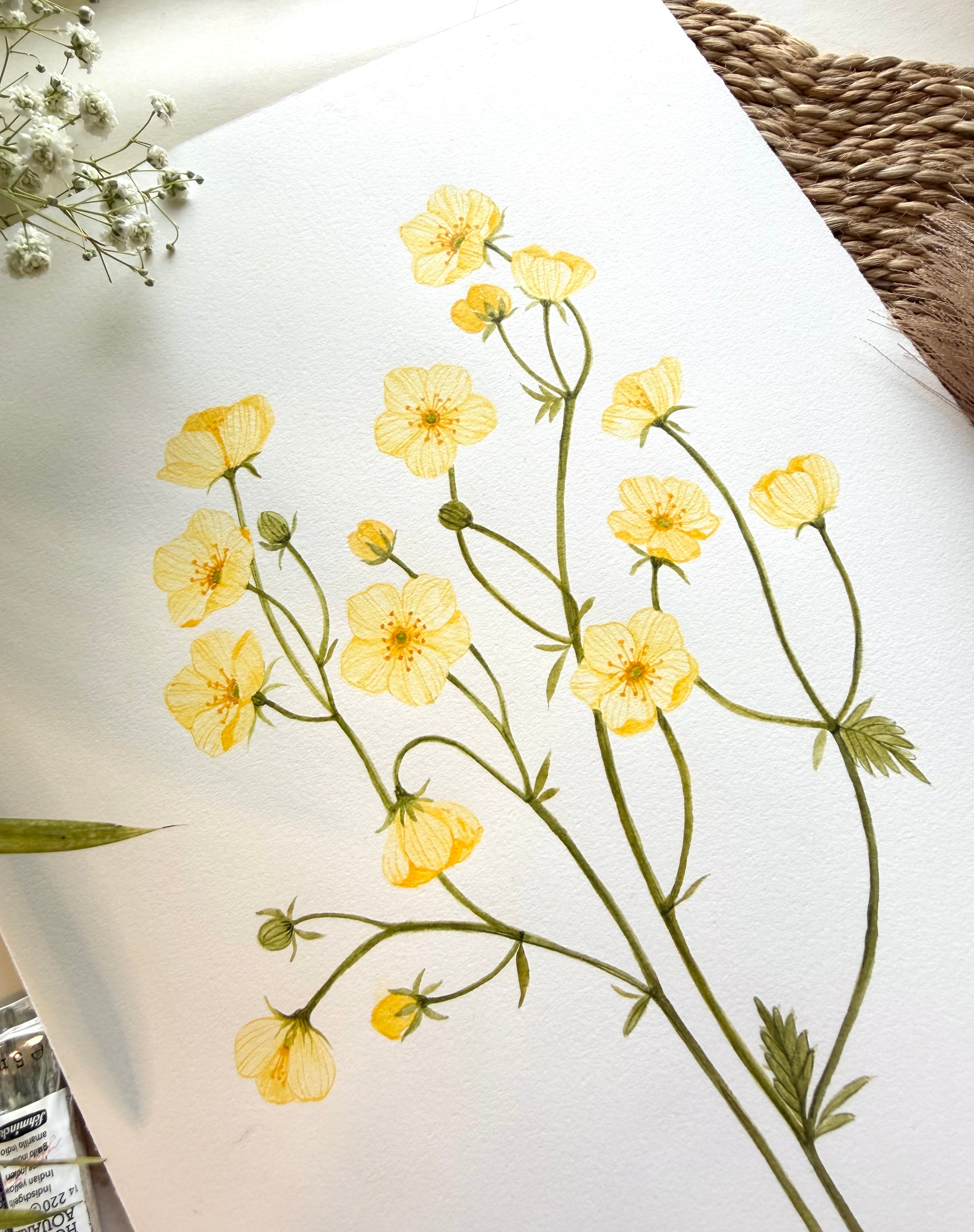 Buttercup Watercolor Art Print