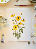 Black-Eyed Susans Watercolor Art Print