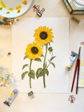 Sunflower Watercolor Art Print