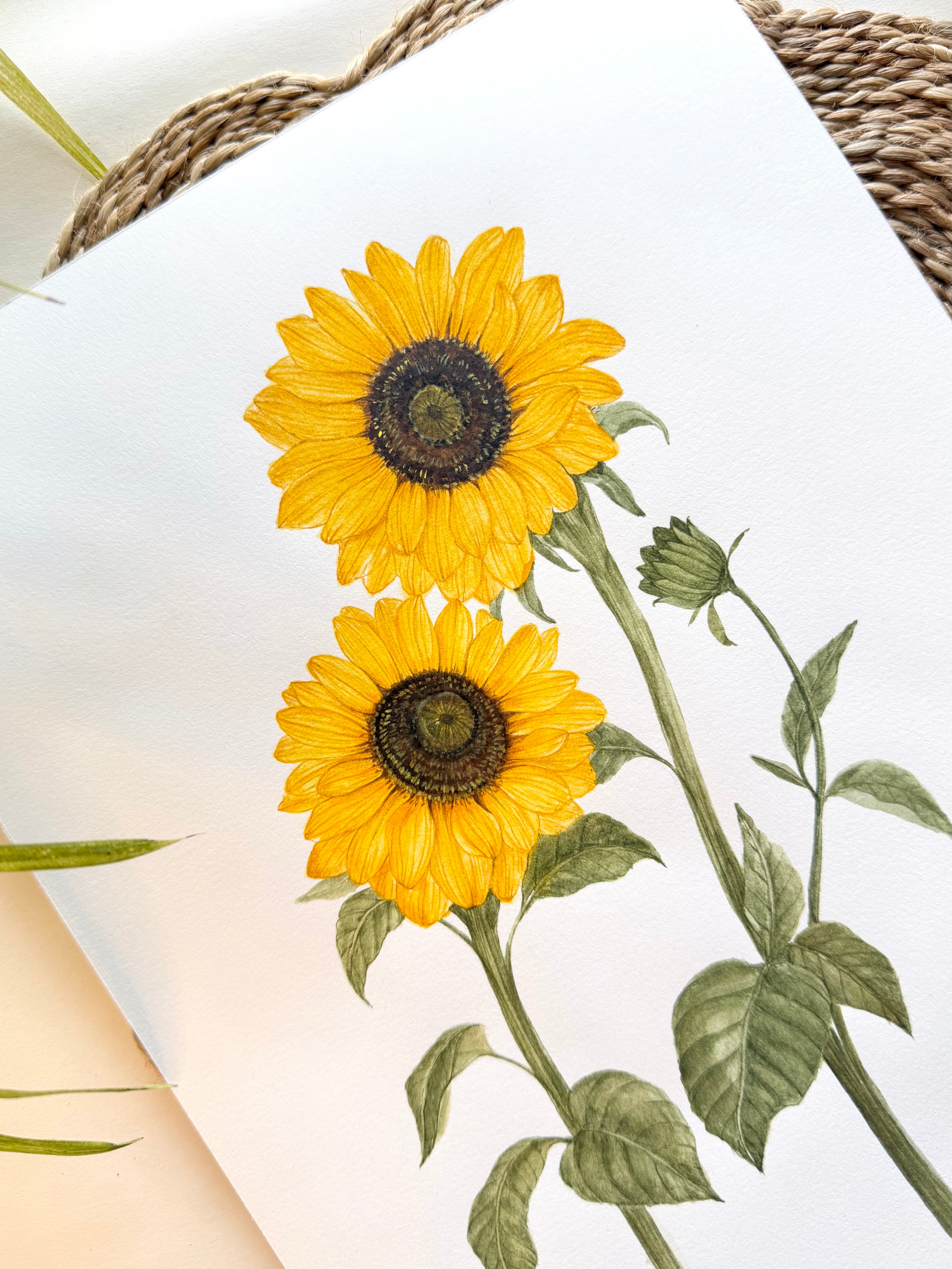 Sunflower Watercolor Art Print