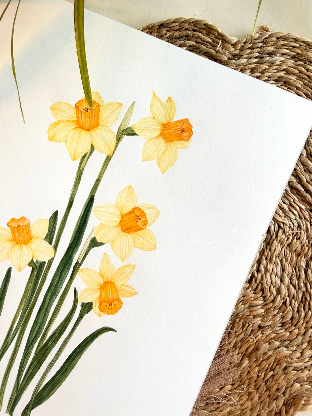 Daffodils Watercolor Art Print