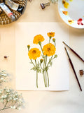 Marigold Watercolor Artwork