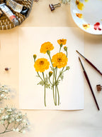 Marigold Watercolor Artwork