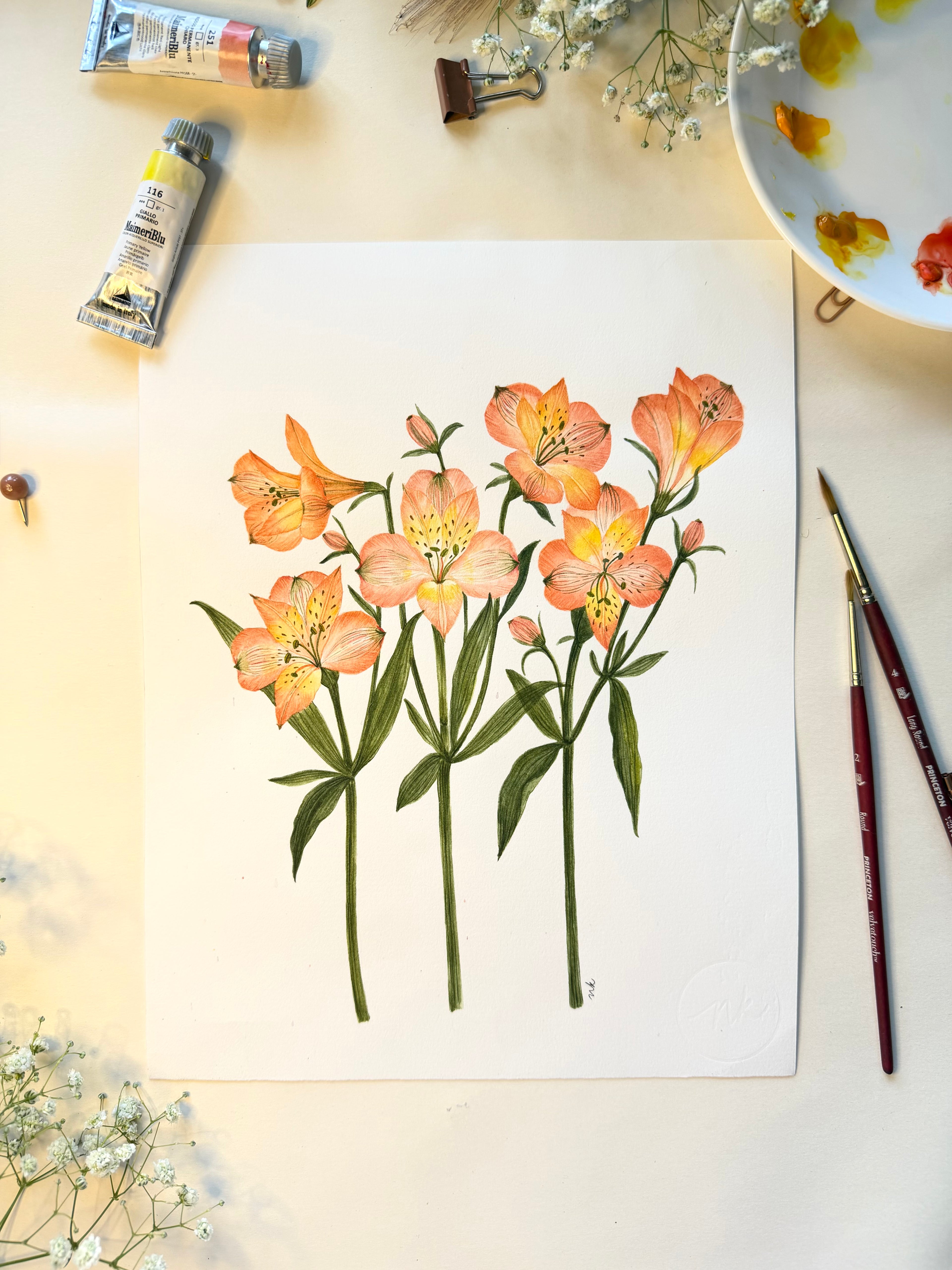 Alstroemeria Watercolor Art Print