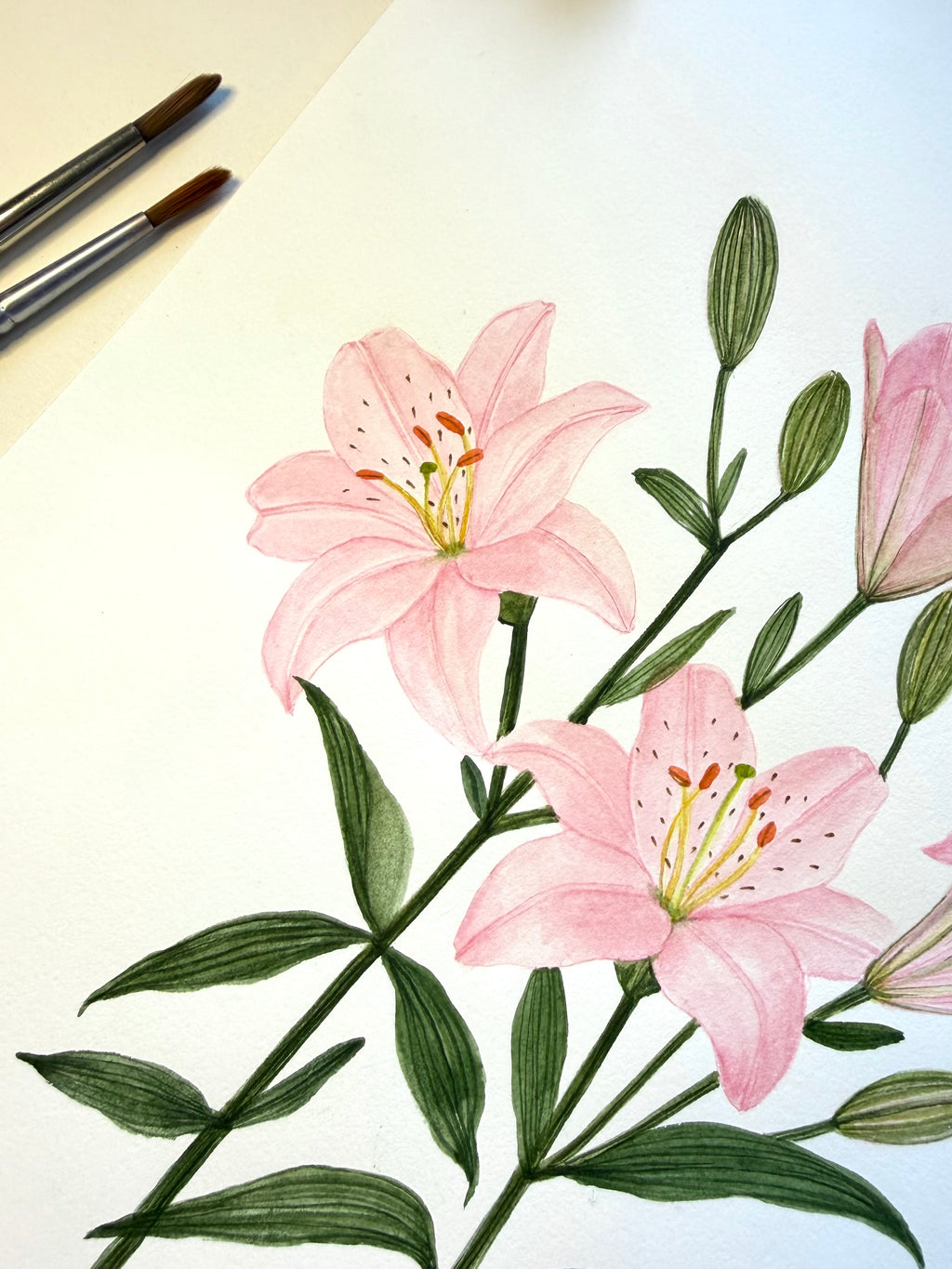 Pink Lily Watercolor Art Print