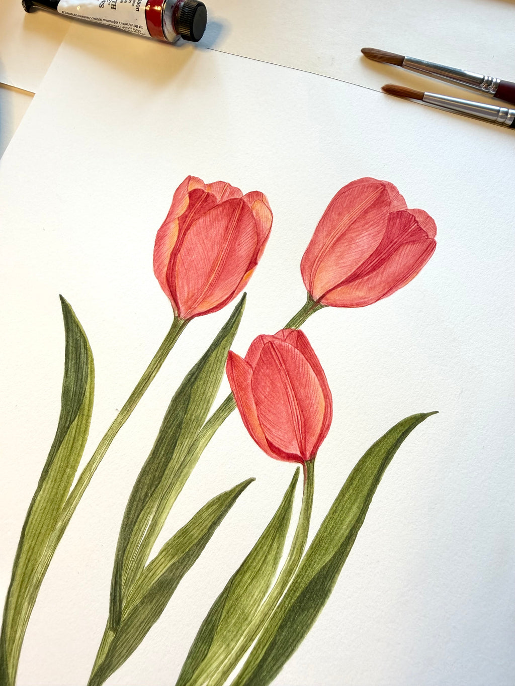 Pink Tulip Watercolor Art Print