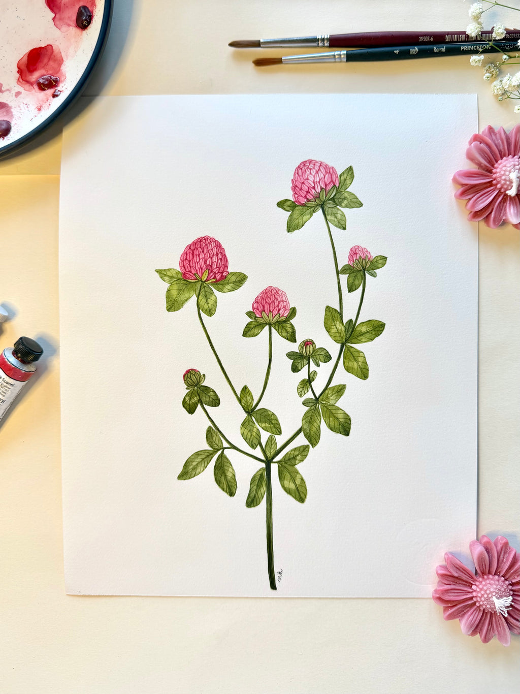 Red Clover Watercolor Art Print