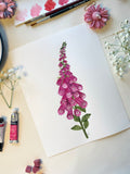 Foxglove Watercolor Art Print
