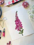 Foxglove Watercolor Artwork