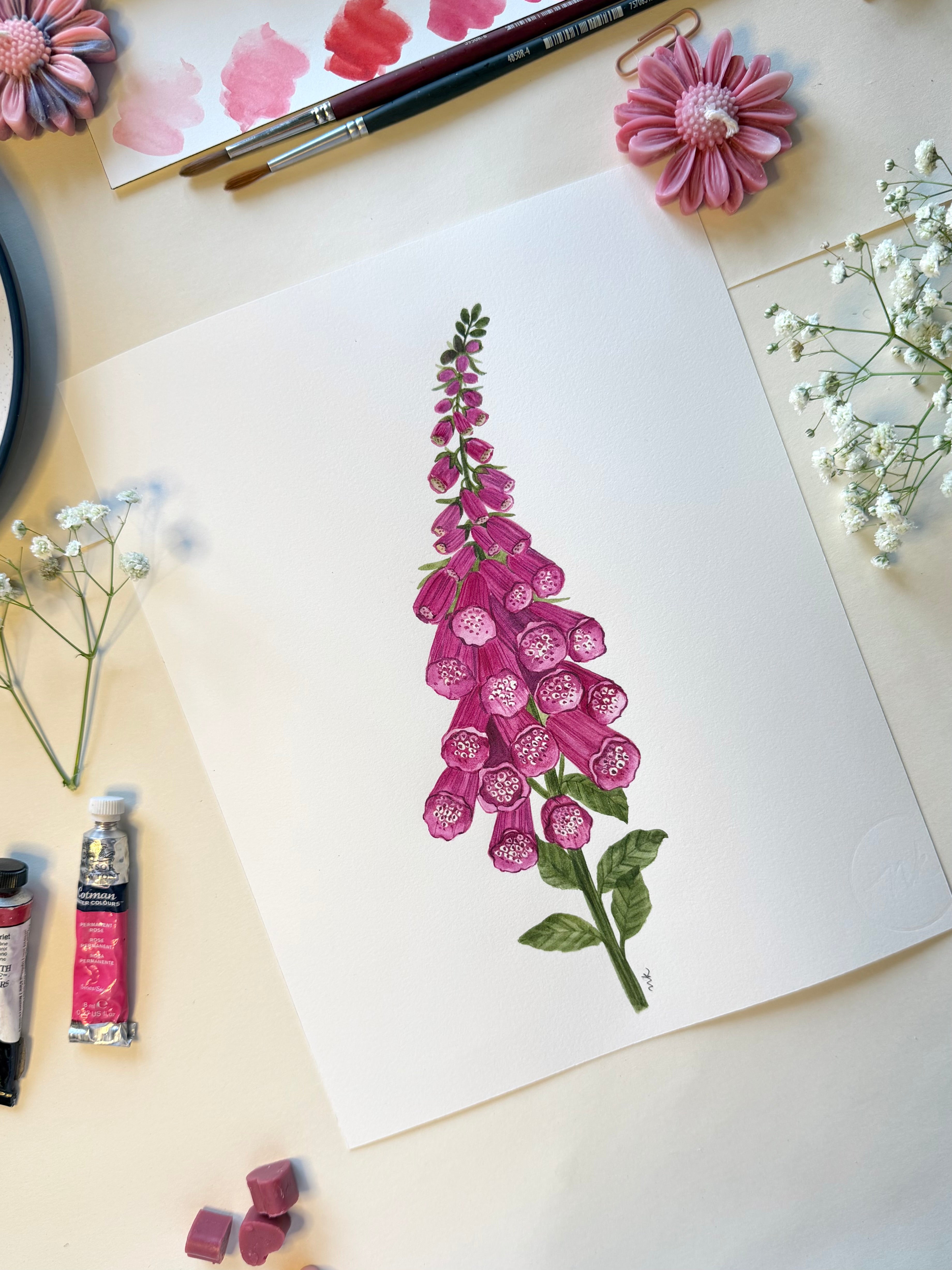 Foxglove Watercolor Art Print