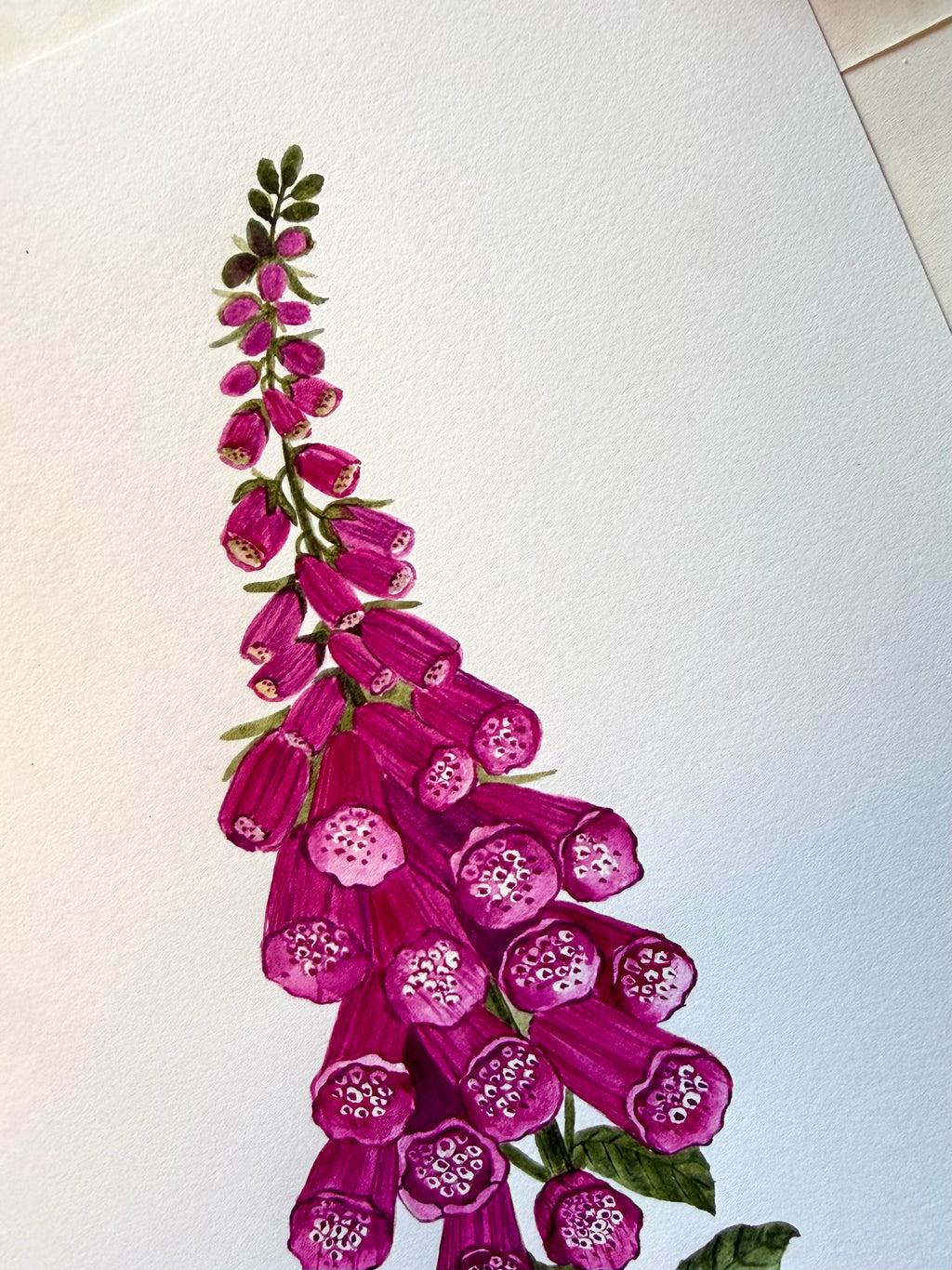 Foxglove Watercolor Art Print