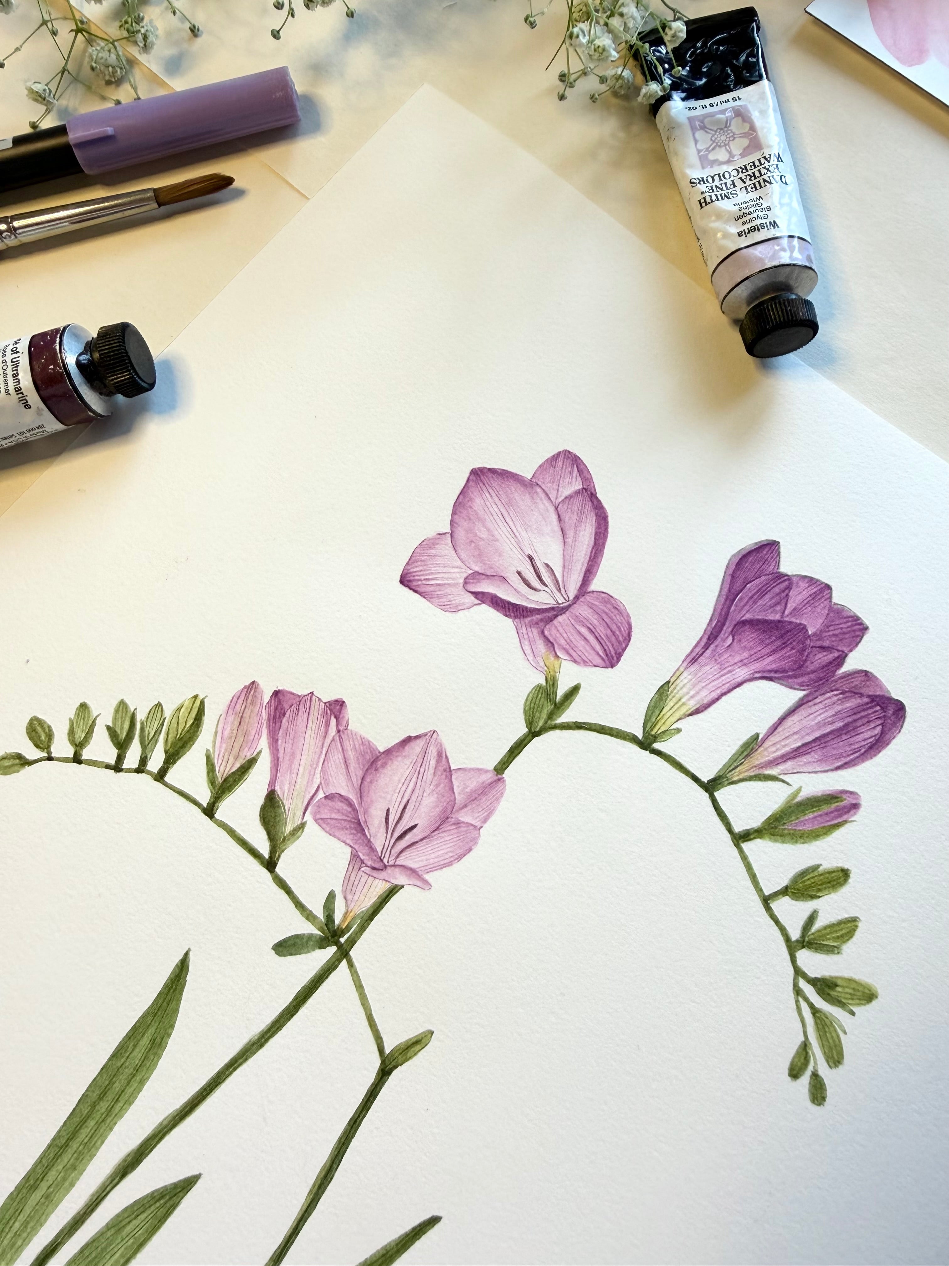 Freesia Watercolor Art Print