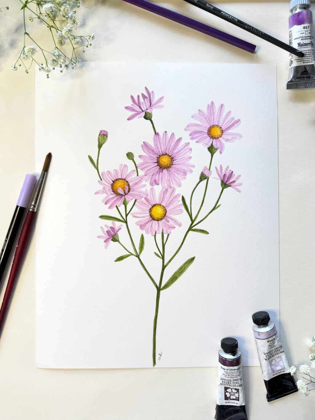 Aster Watercolor Artwork