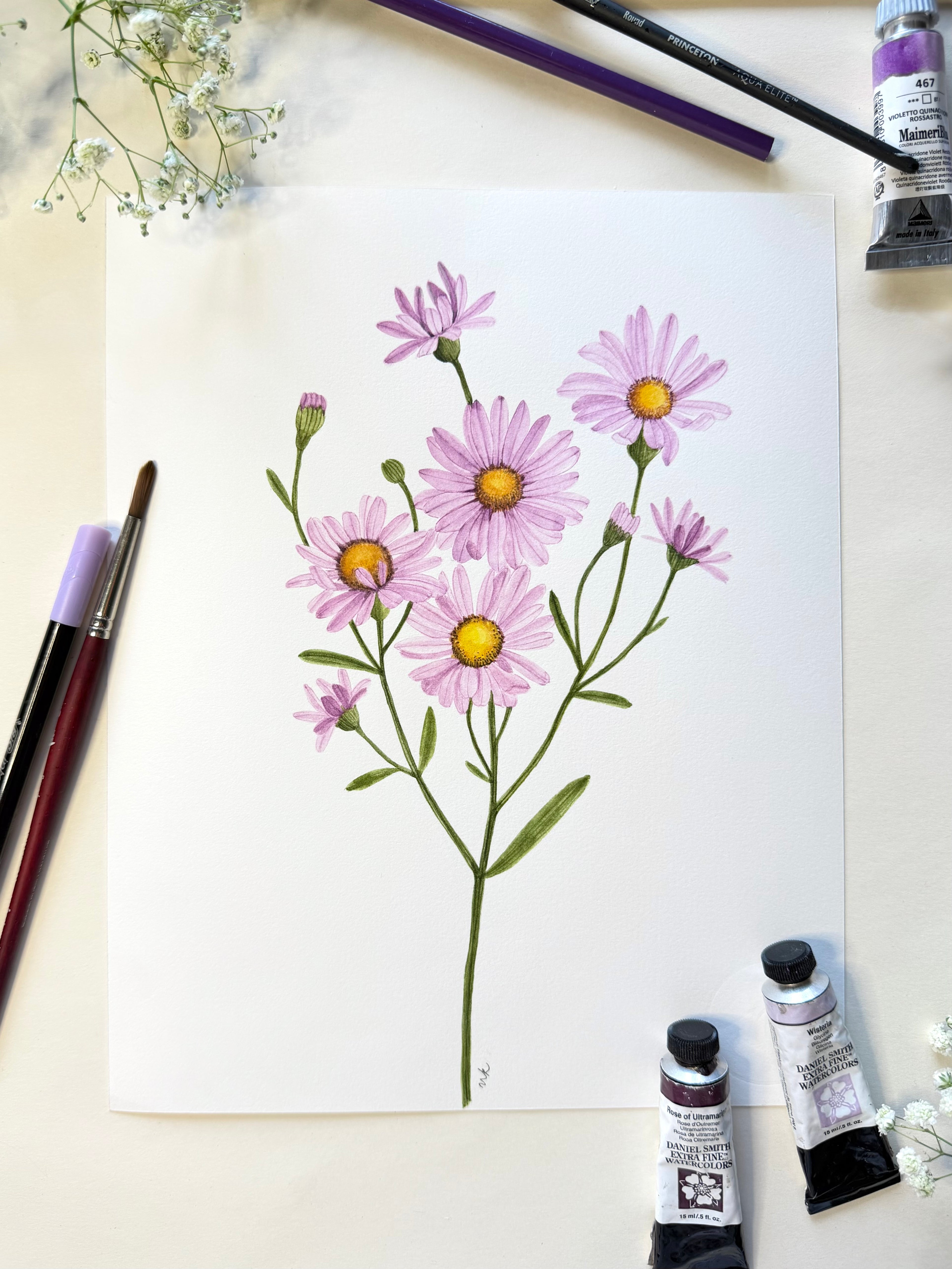 Aster Watercolor Artwork