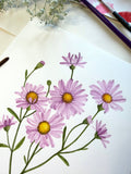 Aster Watercolor Artwork