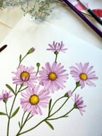 Aster Watercolor Artwork