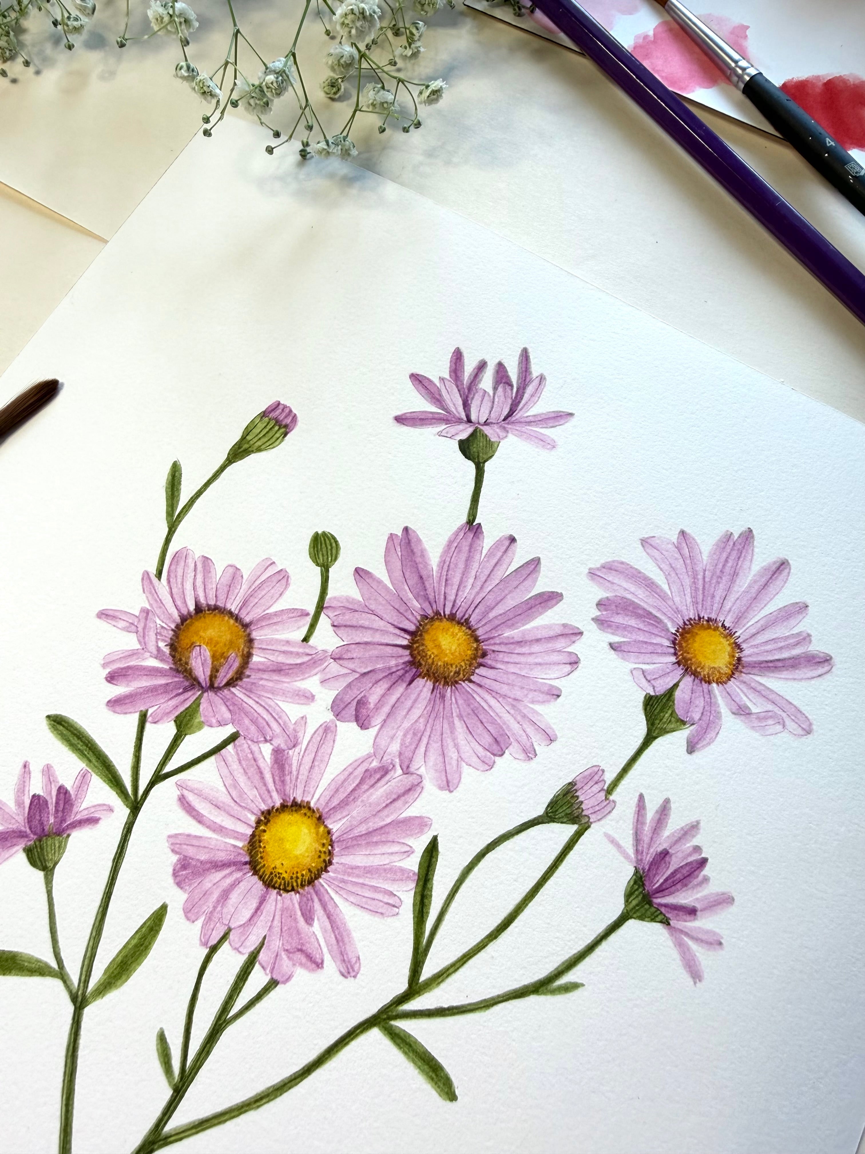 Aster Watercolor Artwork