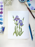 Iris Watercolor Artwork