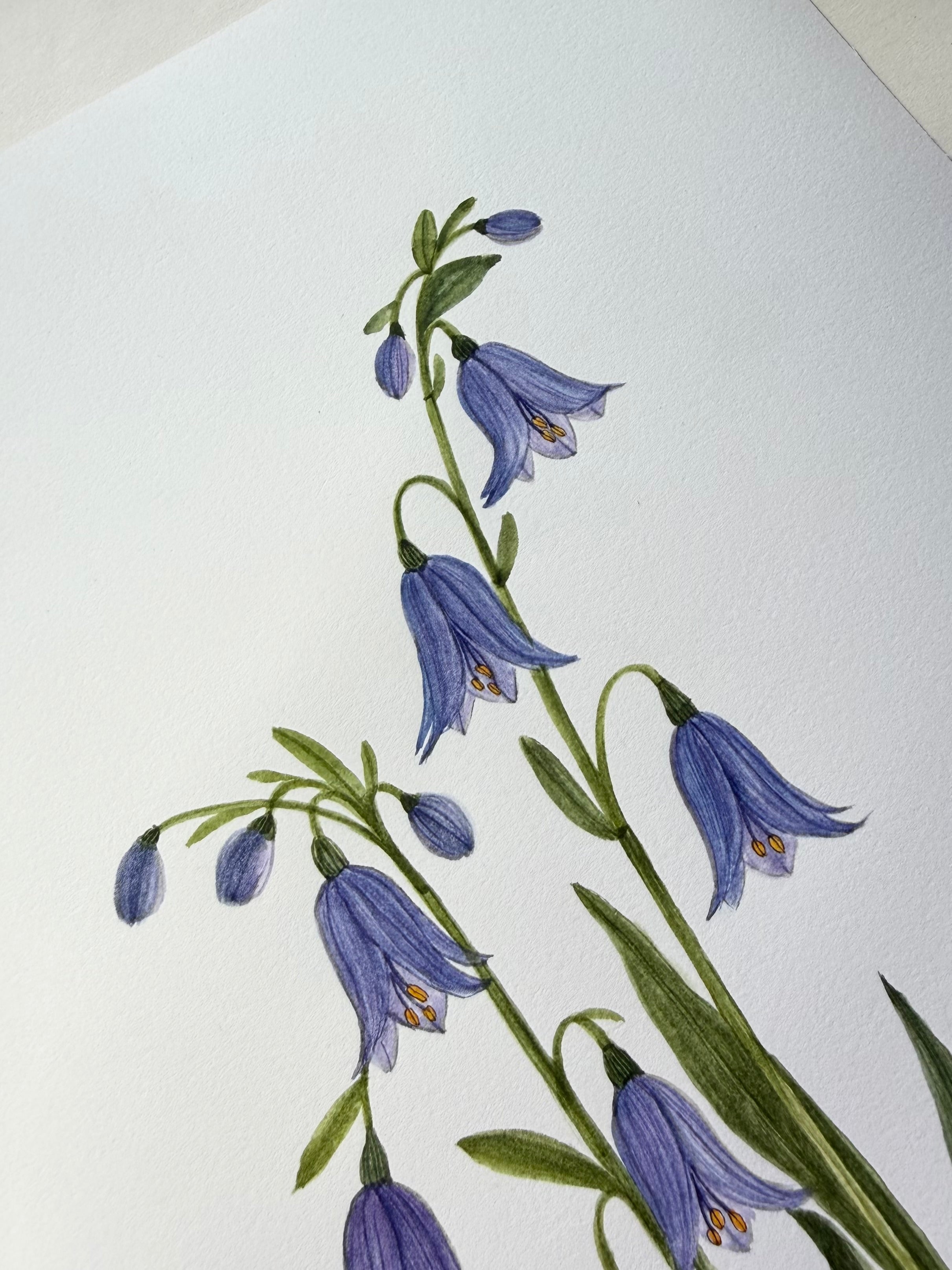 Blue Bells Watercolor Art Print