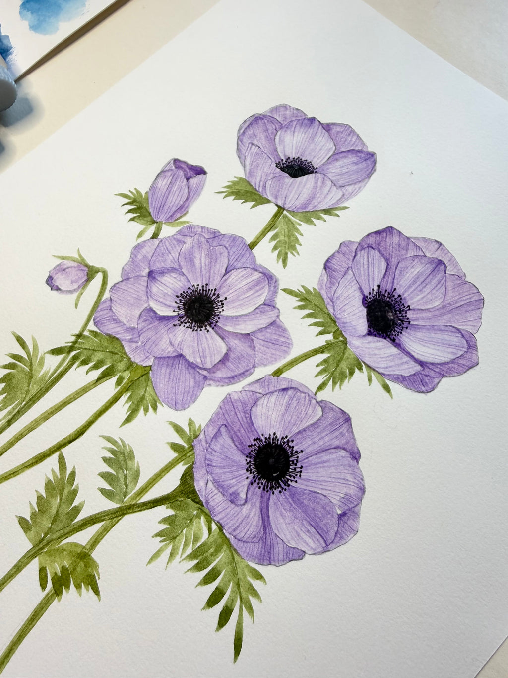 Purple Anemone Watercolor Art Print