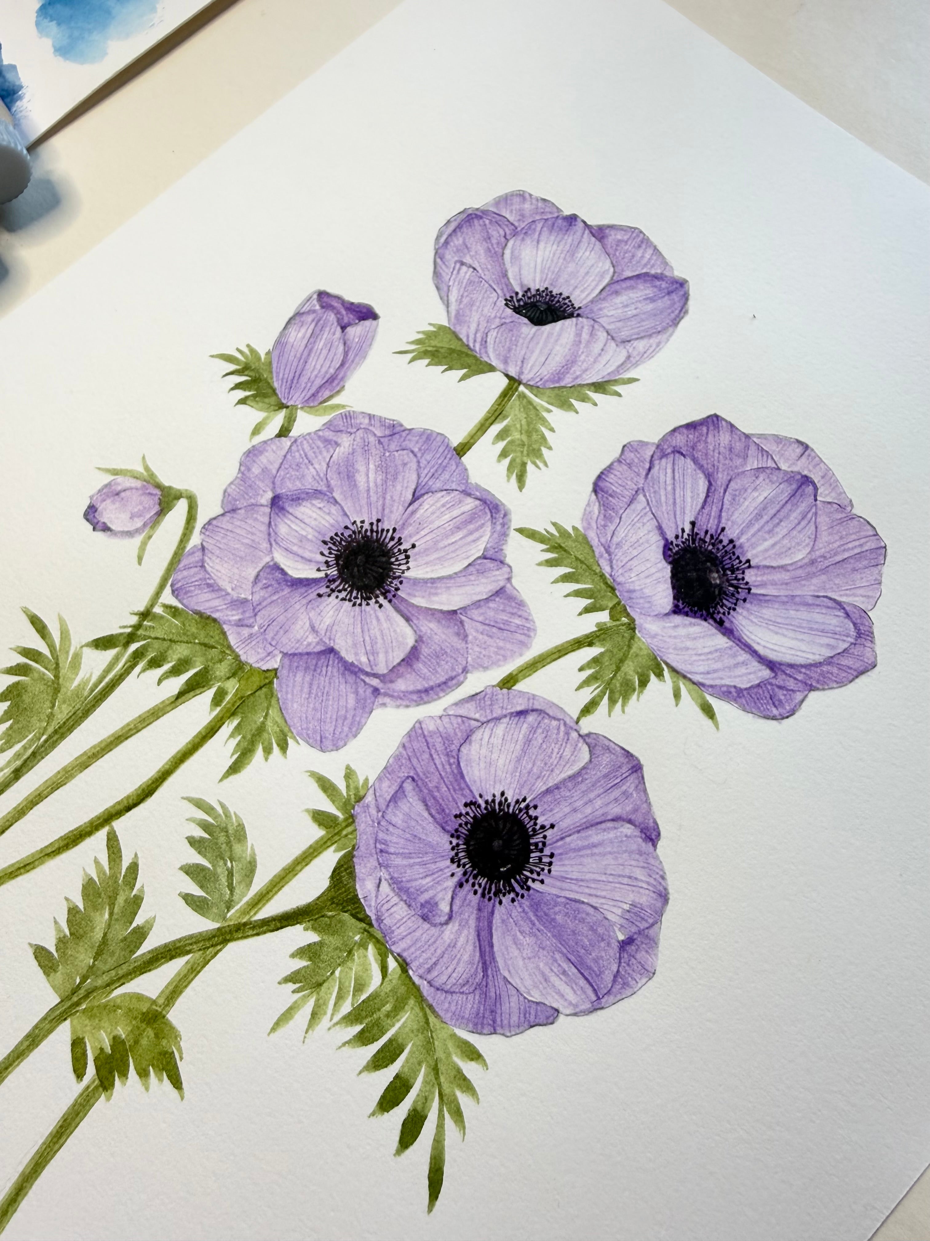 Purple Anemone Watercolor Art Print