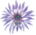 Rating icon