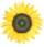 Rating icon