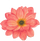 Rating icon